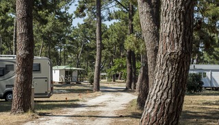 Camping municipal de l'Océan - Vendays-Montalivet