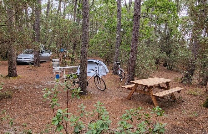 Camping de l'Ermitage 10 - Lacanau