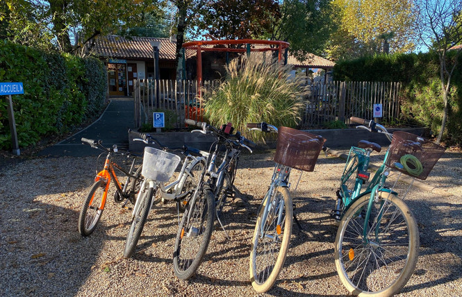 Camping Les Ecureuils, Arès 20 - Arès