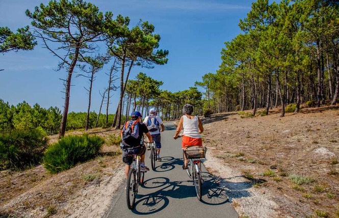 Camping L'oree Du Bois 11 - Hourtin