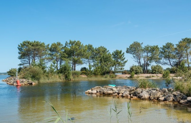 Camping L'oree Du Bois 12 - Hourtin