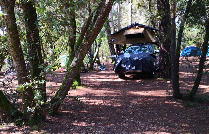 Camping de l'Ermitage 16 - Lacanau