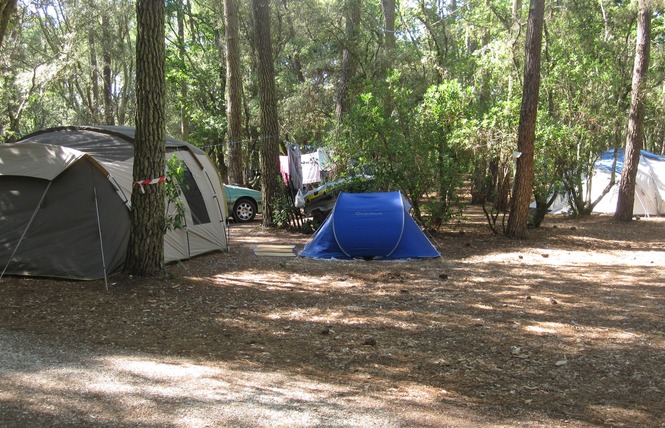 Camping de l'Ermitage 21 - Lacanau