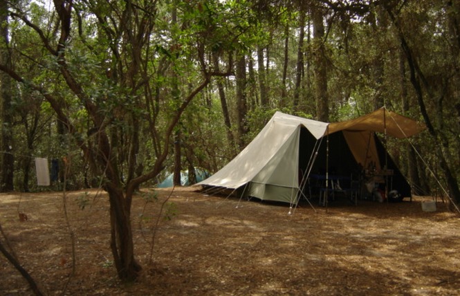 Camping de l'Ermitage 17 - Lacanau