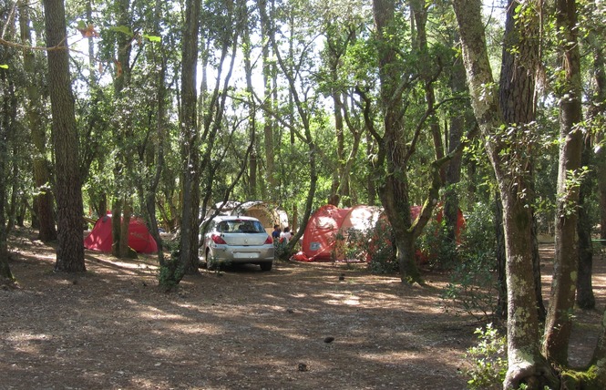 Camping de l'Ermitage 14 - Lacanau