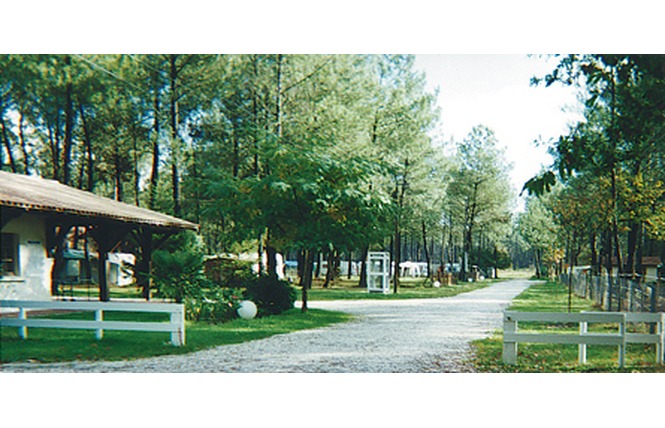 Camping la Pinède 2 - Lège-Cap-Ferret