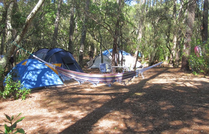 Camping de l'Ermitage 19 - Lacanau