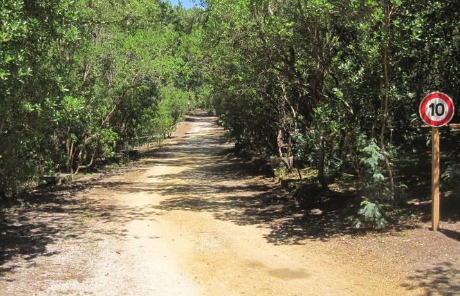 Camping de l'Ermitage 6 - Lacanau