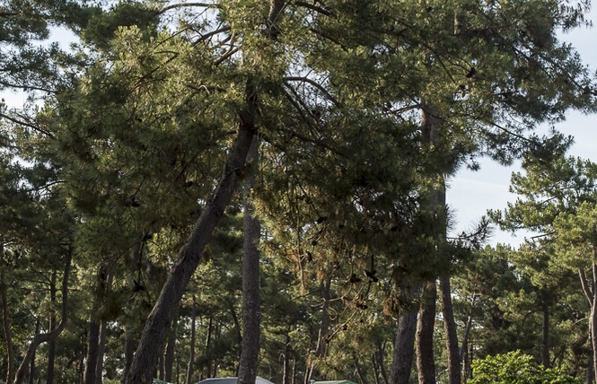 Camping municipal de l'Océan 7 - Vendays-Montalivet