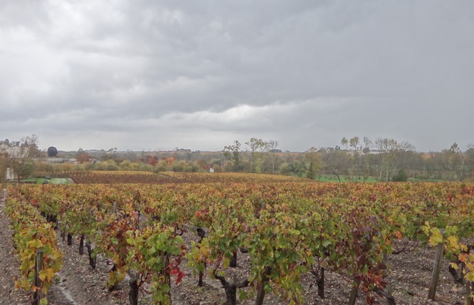 Camping Municipal Les Gabarreys 13 - Pauillac